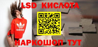 PSILOCYBIN Моздок