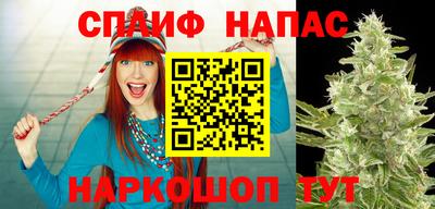 ГАЛЛЮЦИНОГЕННЫЕ ГРИБЫ Можайск