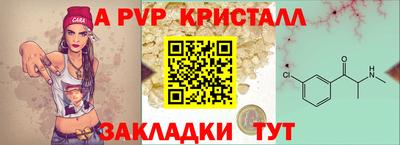 PSILOCYBIN Моздок