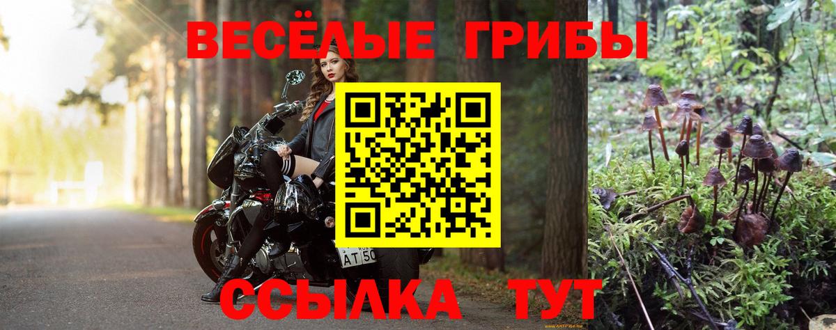 Псилоцибиновые грибы GOLDEN TEACHER Черкесск